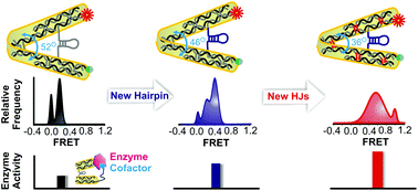 Graphical abstract: Rational design of DNA-actuated enzyme nanoreactors guided by single molecule analysis