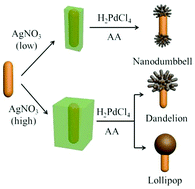 Graphical abstract: Asymmetric AgPd–AuNR heterostructure with enhanced photothermal performance and SERS activity