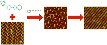 Graphical abstract: Transformation of self-assembly of a TTF derivative at the 1-phenyloctane/HOPG interface studied by STM—from a nanoporous network to a linear structure