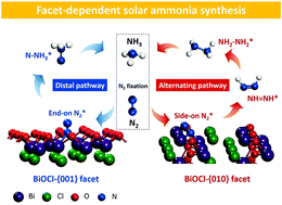 Graphical abstract: Facet-dependent solar ammonia synthesis of BiOCl nanosheets via a proton-assisted electron transfer pathway