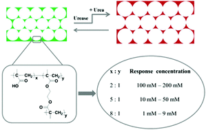 Graphical abstract: Label-free and pH-sensitive colorimetric materials for the sensing of urea