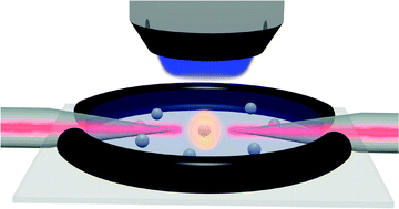 Graphical abstract: Luminescent nanoparticle trapping with far-field optical fiber-tip tweezers