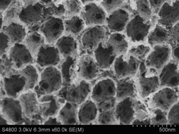 Graphical abstract: Soft-template construction of three-dimensionally ordered inverse opal structure from Li2FeSiO4/C composite nanofibers for high-rate lithium-ion batteries