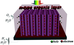 Graphical abstract: Facile fabrication of organic/inorganic nanotube heterojunction arrays for enhanced photoelectrochemical water splitting