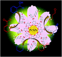 Graphical abstract: Water-soluble metal nanoparticles stabilized by plant polyphenols for improving the catalytic properties in oxidation of alcohols