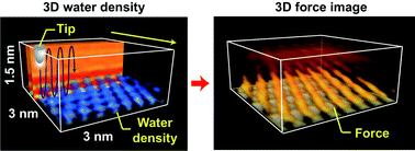 Graphical abstract: A relationship between three-dimensional surface hydration structures and force distribution measured by atomic force microscopy