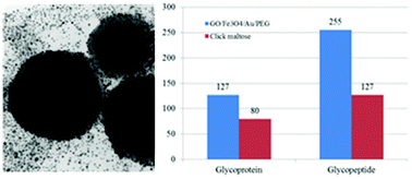 Graphical abstract: Hydrophilic GO/Fe3O4/Au/PEG nanocomposites for highly selective enrichment of glycopeptides