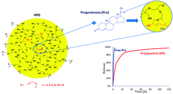 Graphical abstract: Progesterone binding nano-carriers based on hydrophobically modified hyperbranched polyglycerols