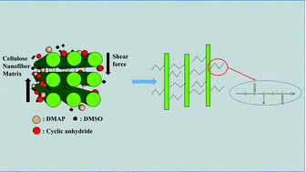 Graphical abstract: A versatile method for producing functionalized cellulose nanofibers and their application