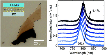 Graphical abstract: Precise and reversible band gap tuning in single-layer MoSe2 by uniaxial strain