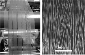 Graphical abstract: Large-area perovskite nanowire arrays fabricated by large-scale roll-to-roll micro-gravure printing and doctor blading