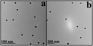 Graphical abstract: A SERS-active sensor based on heterogeneous gold nanostar core–silver nanoparticle satellite assemblies for ultrasensitive detection of aflatoxinB1