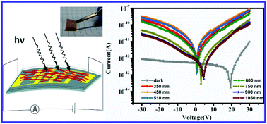 Graphical abstract: Highly sensitive broadband flexible photodetectors based on a blend film with zinc octaethylporphyrin long nanowires embedded in an insulating polymer