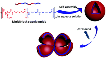 Graphical abstract: Ultrasound-responsive ultrathin multiblock copolyamide vesicles