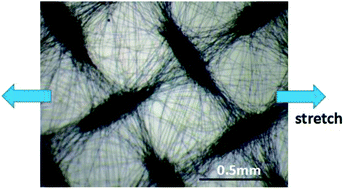 Graphical abstract: Patterned, highly stretchable and conductive nanofibrous PANI/PVDF strain sensors based on electrospinning and in situ polymerization