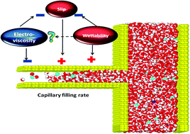 Graphical abstract: Rapid capillary filling via ion–water interactions over the nanoscale