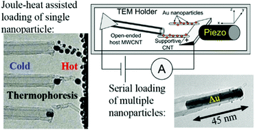 Graphical abstract: Refilling of carbon nanotube cartridges for 3D nanomanufacturing