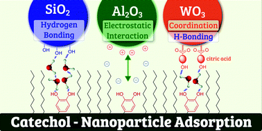 Graphical abstract: Multimodal underwater adsorption of oxide nanoparticles on catechol-based polymer nanosheets