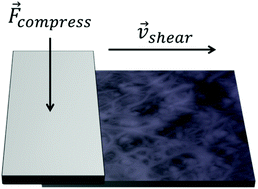 Graphical abstract: Dry shear aligning: a simple and versatile method to smooth and align the surfaces of carbon nanotube thin films