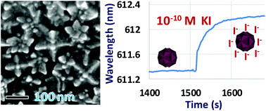 Graphical abstract: Stable ligand-free stellated polyhedral gold nanoparticles for sensitive plasmonic detection