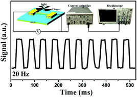 Graphical abstract: Ultraviolet/visible photodetectors with ultrafast, high photosensitivity based on 1D ZnS/CdS heterostructures