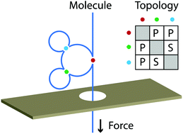 Graphical abstract: Topology sorting and characterization of folded polymers using nano-pores