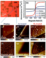 Graphical abstract: Phase-driven magneto-electrical characteristics of single-layer MoS2