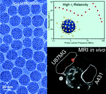 Graphical abstract: Mesoporous silica nanoparticles functionalized with fluorescent and MRI reporters for the visualization of murine tumors overexpressing αvβ3 receptors