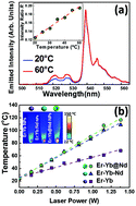 Graphical abstract: Self-monitored photothermal nanoparticles based on core–shell engineering