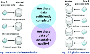 Graphical abstract: How should the completeness and quality of curated nanomaterial data be evaluated?