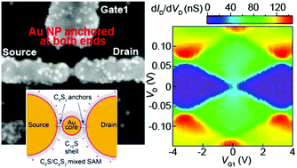 Graphical abstract: Rhombic Coulomb diamonds in a single-electron transistor based on an Au nanoparticle chemically anchored at both ends