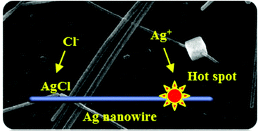 Graphical abstract: “Hot spots” growth on single nanowire controlled by electric charge