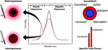 Graphical abstract: Mean-field and linear regime approach to magnetic hyperthermia of core–shell nanoparticles: can tiny nanostructures fight cancer?