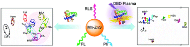 Graphical abstract: Plasma-assisted quadruple-channel optosensing of proteins and cells with Mn-doped ZnS quantum dots