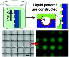 Graphical abstract: Patterning liquids on inkjet-imprinted surfaces with highly adhesive superhydrophobicity