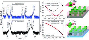 Graphical abstract: Tuning the magnetic properties of self-assembled BiFeO3–CoFe2O4 heteroepitaxy by magneto-structural coupling