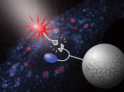 Graphical abstract: Dendritic polymers for smart drug delivery applications
