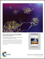 Graphical abstract: Back cover