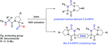 Graphical abstract: A benzotriazole-mediated route to protected marine-derived hetero-2,5-diketopiperazines containing proline