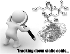 Graphical abstract: Elucidation of several neglected reactions in the GC–MS identification of sialic acids as heptafluorobutyrates calls for an urgent reassessment of previous claims