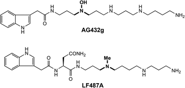 Graphical abstract: Regioselective solid-phase synthesis of N-mono-hydroxylated and N-mono-methylated acylpolyamine spider toxins using an 2-(ortho-nitrophenyl)ethanal-modified resin