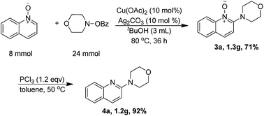 Graphical abstract: Copper(ii)-catalyzed electrophilic amination of quinoline N-oxides with O-benzoyl hydroxylamines