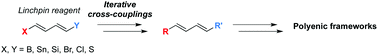 Graphical abstract: Linchpin dienes: key building-blocks in the synthesis of polyenic frameworks