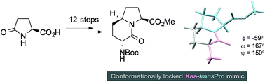 Graphical abstract: Synthesis and evaluation of a (3R,6S,9S)-2-oxo-1-azabicyclo[4.3.0]nonane scaffold as a mimic of Xaa-trans-Pro in poly-l-proline type II helix conformation