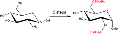 Graphical abstract: Regioselective sulfamoylation at low temperature enables concise syntheses of putative small molecule inhibitors of sulfatases