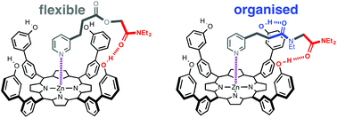 Graphical abstract: Influence of non-covalent preorganization on supramolecular effective molarities