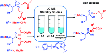 Graphical abstract: Applying the prodrug strategy to α-phosphonocarboxylate inhibitors of Rab GGTase – synthesis and stability studies