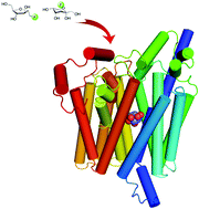 Graphical abstract: New fluorinated fructose analogs as selective probes of the hexose transporter protein GLUT5