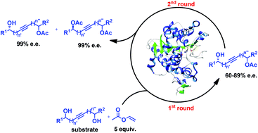 Graphical abstract: Enzymatic kinetic resolution of internal propargylic diols. Part I: a new approach for the synthesis of (S)-pent-2-yn-1,4-diol, a natural product from Clitocybe catinus