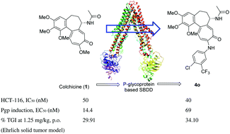 Graphical abstract: Colchicine derivatives with potent anticancer activity and reduced P-glycoprotein induction liability